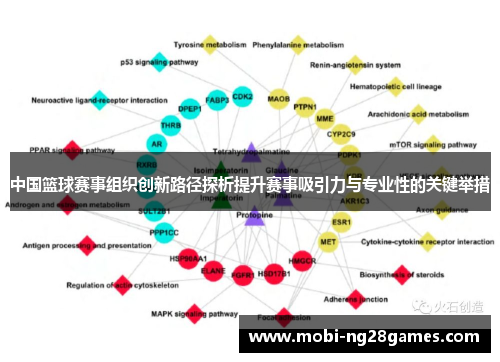 中国篮球赛事组织创新路径探析提升赛事吸引力与专业性的关键举措