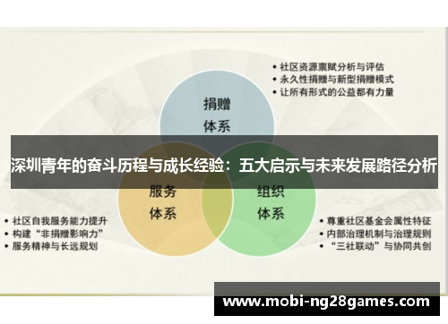 深圳青年的奋斗历程与成长经验：五大启示与未来发展路径分析