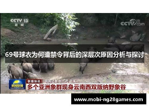 69号球衣为何遭禁令背后的深层次原因分析与探讨