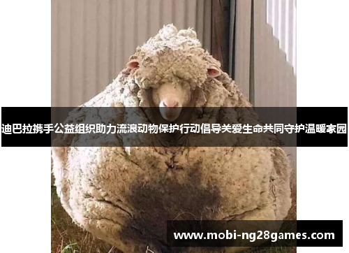 迪巴拉携手公益组织助力流浪动物保护行动倡导关爱生命共同守护温暖家园