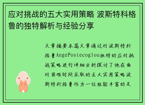 应对挑战的五大实用策略 波斯特科格鲁的独特解析与经验分享