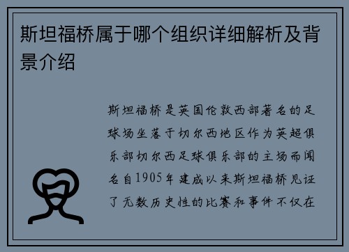 斯坦福桥属于哪个组织详细解析及背景介绍